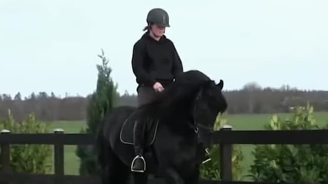 S01:E20 - Animales y Año nuevo