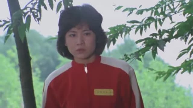 S01:E25 - A Beautiful Challenger