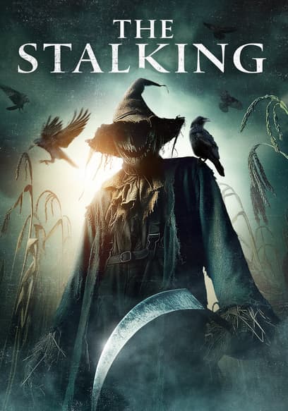 The Stalking