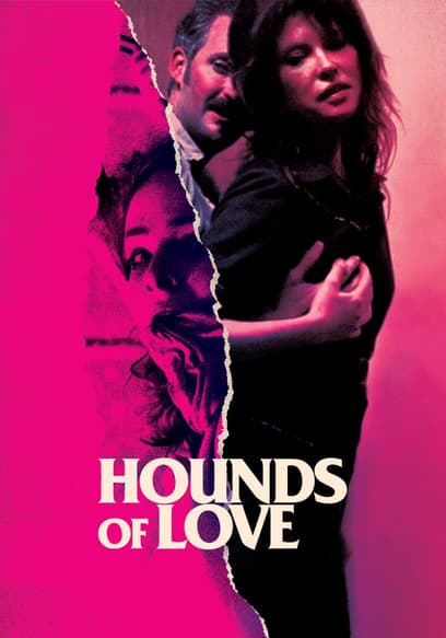 Hounds of Love