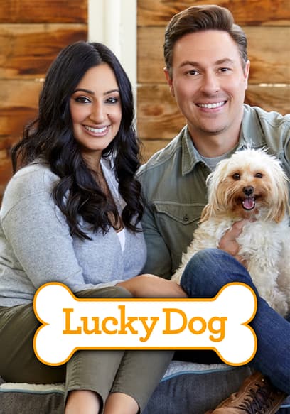 Lucky Dog poster
