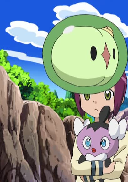 S14:E35 - Where Did You Go, Audino? poster