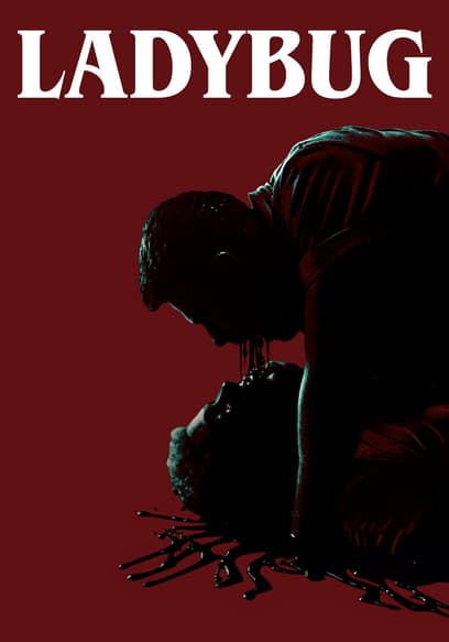 Ladybug