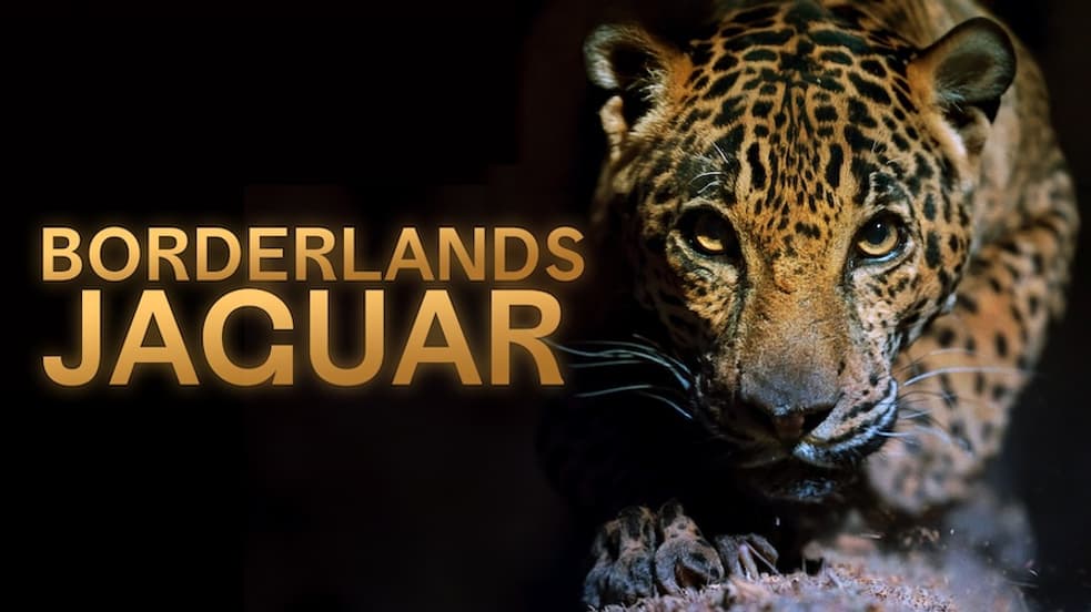 Borderlands Jaguar (2026) - Disfruta gratis | Tubi