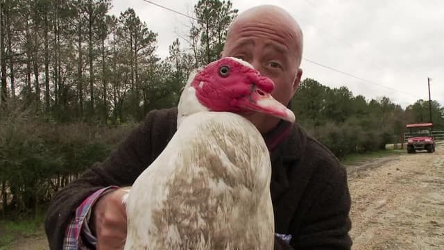 S02:E13 - The Third Coast