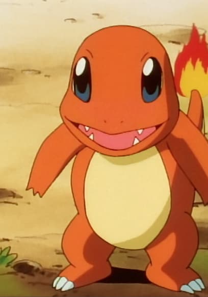 S01:E12 - Here Comes the Squirtle Squad poster
