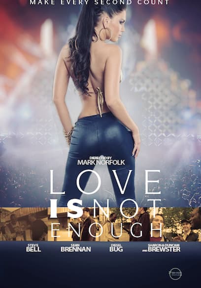 Love is Not Enough poster