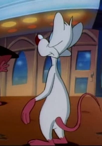 S01:E04 - Pinky & the Fog / Where No Mouse Has Gone Before / Cheese Roll Call poster