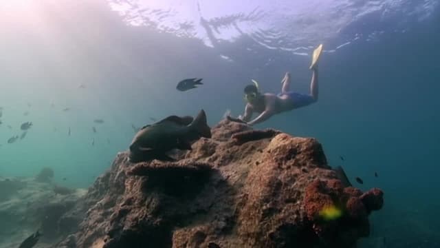 S01:E01 - The Sea