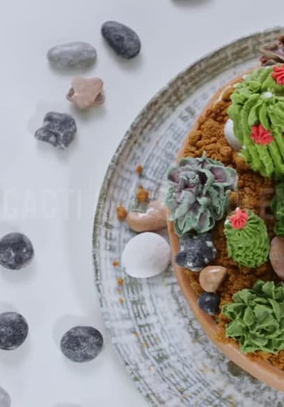 S01:E10 - The Plant-Based Succulent Cake poster