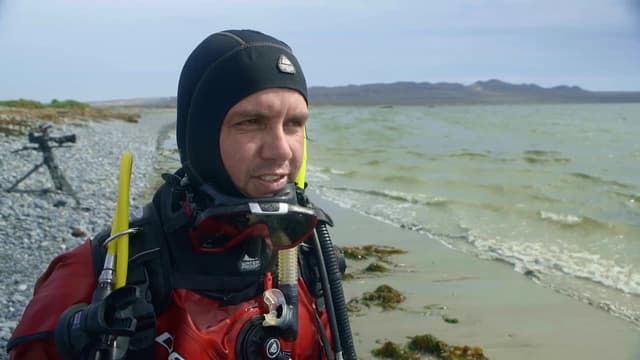 S01:E06 - Animales chilenos