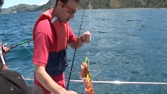 S01:É13 - S01:E13 - Kaikoura