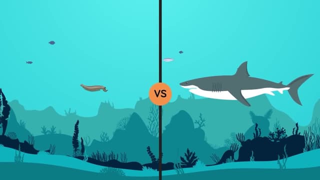 S01:E02 - What's the Real Reason the Megalodon Went Extinct?