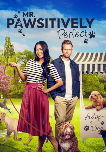 Mr. Pawsitively Perfect