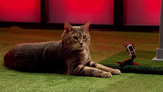 S01:E06 - Goodbye Ref Roddy