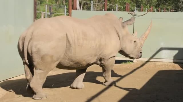 S01:E13 - Tortoise First Date