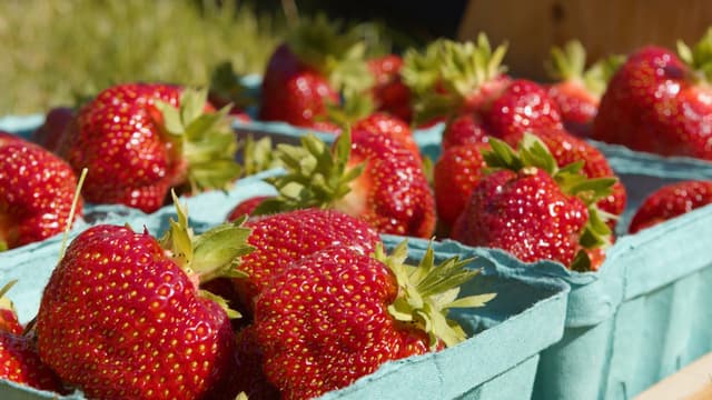 S01:E02 - Strawberry Fields Forever