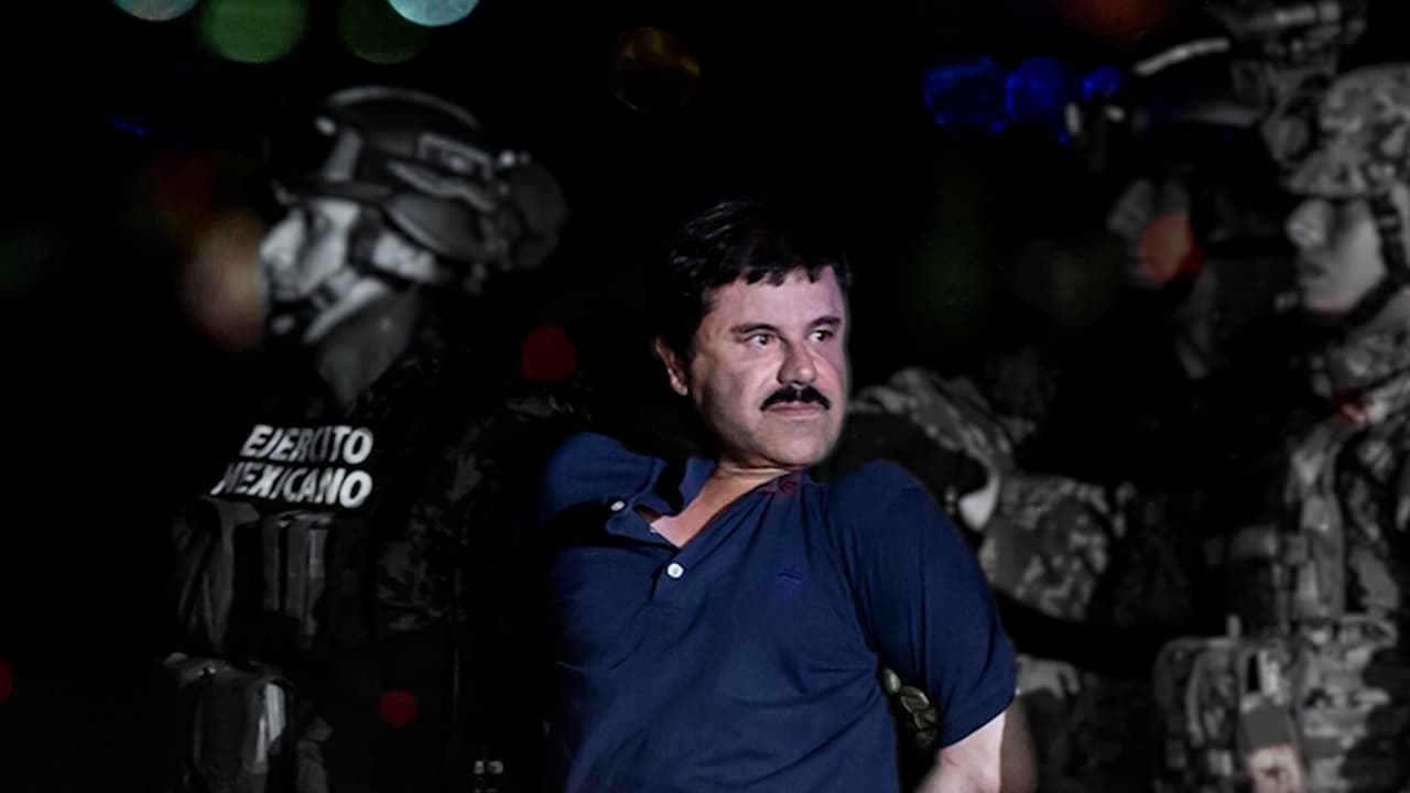 Watch Narco impacto