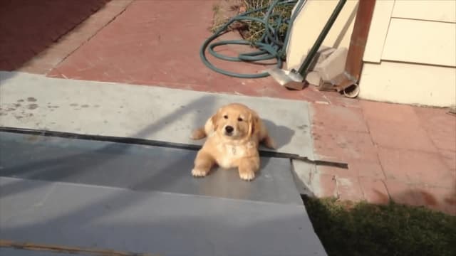 S01:E06 - King Donkey Kong