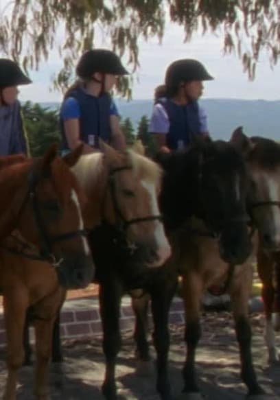 S01:E25 - Bridle Path (Pt. 1) poster