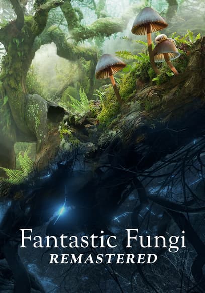 Fantastic Fungi (Remastered)