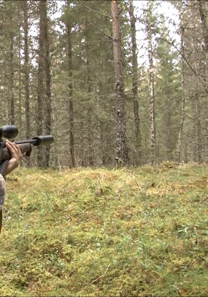Affiche de S01:E08 - Visitor in Camp and Hunting Moose With Dogs