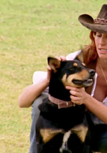 S08:E13 - A Dog's Life poster