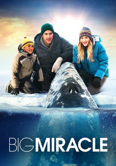 Big Miracle