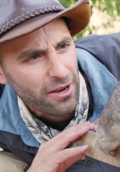 S05:E04 - Don't Wake the Wombat poster