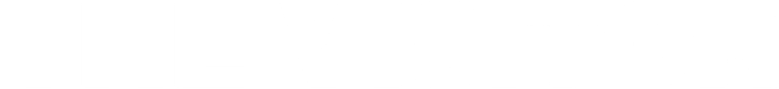 The Visitor