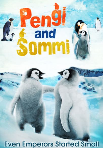Pengi and Sommi poster