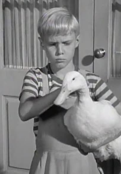 S01:E18 - Dennis And The Duck poster