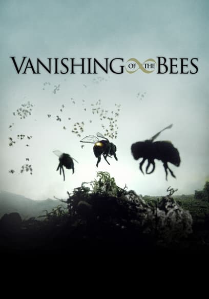 Vanishing of the Bees