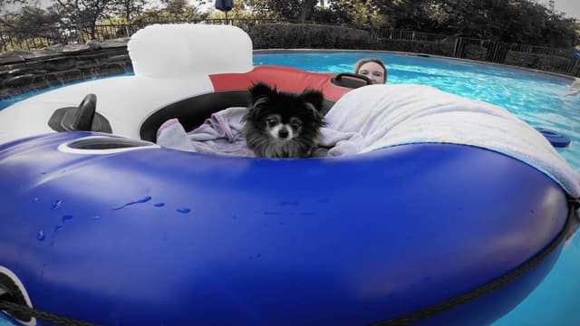 S01:E02 - Rescue Rookies