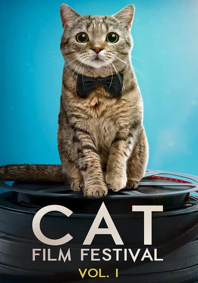 Cat Film Festival (Vol. 1)