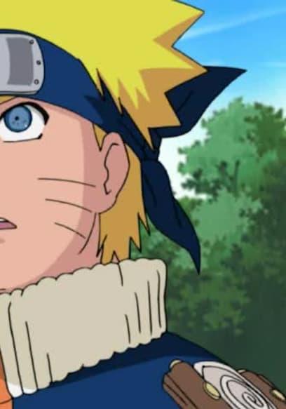 S04:E29 - A Legend from the Hidden Leaf: The Onbaa!! poster