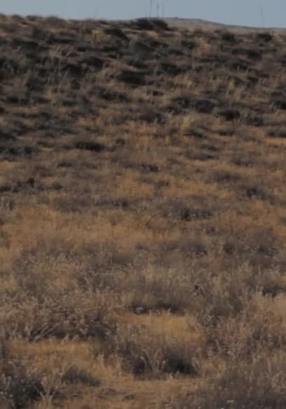 S01:E01 - Barrels in the Desert poster