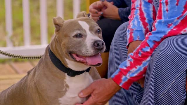 S19:E04 - Bad Reputation