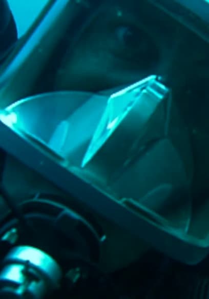 S01:E11 - Thresher Shark poster