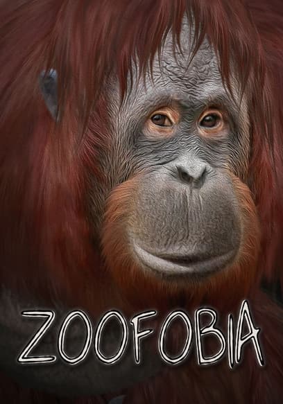 Zoofobia