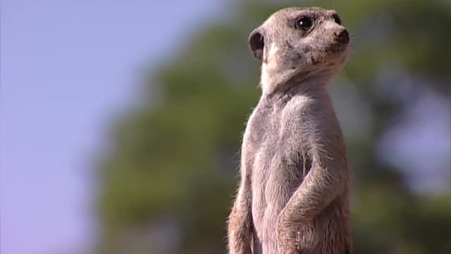 S01:E01 - A Family Affair