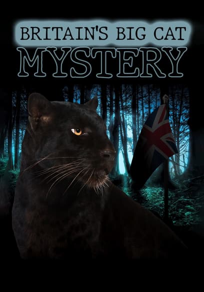 Britain's Big Cat Mystery