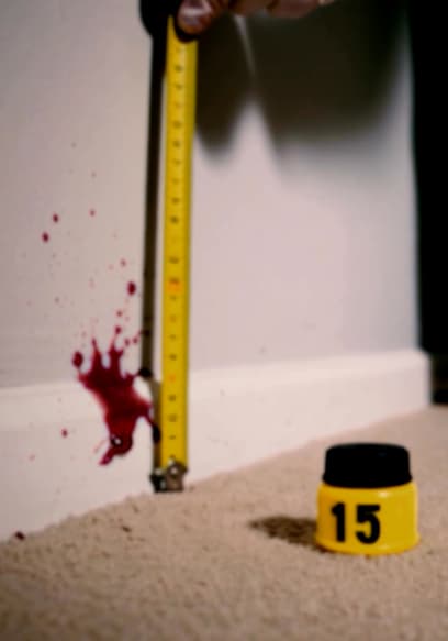 S02:E14 - Murder of Lance Herndon poster
