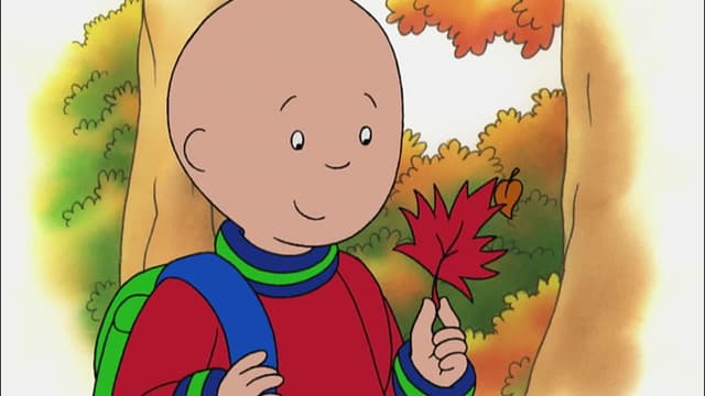 S02:E83 - Caillou's Suitcase // Try, Try Again // the New Leaf // Happy New Year