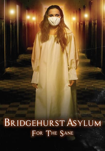 Bridgehurst Asylum for the Sane