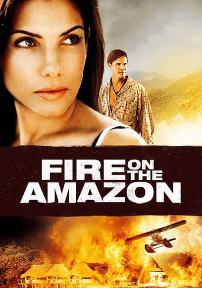 Fire on the Amazon