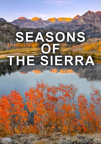 Seasons of the Sierra