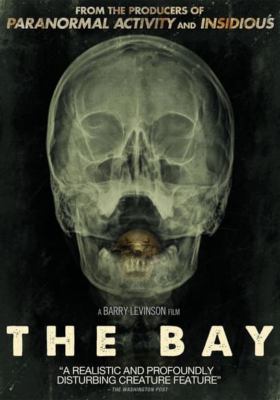 The Bay