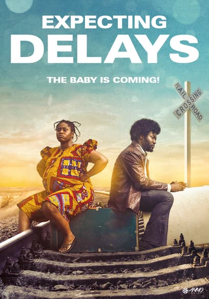 Expecting Delays poster