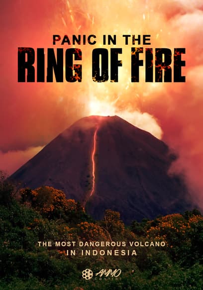 Panic in the Ring of Fire